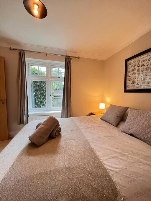 Space And Comfort In Summertown Oksford Zewnętrze zdjęcie